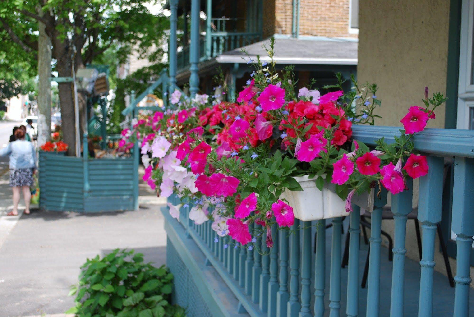 De L'eveche Inn Rimouski